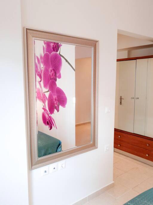 Orchid Apartments Терми Номер фото